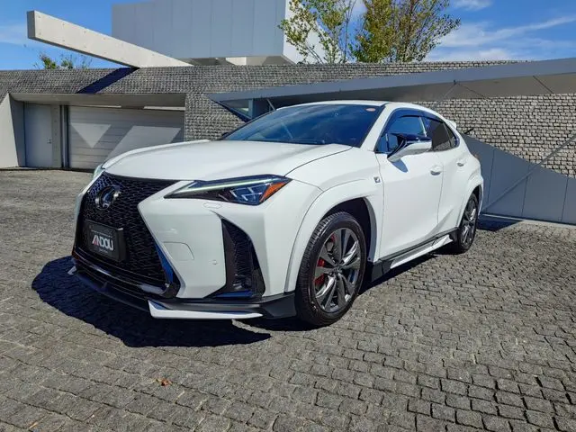 Lexus UX 250h