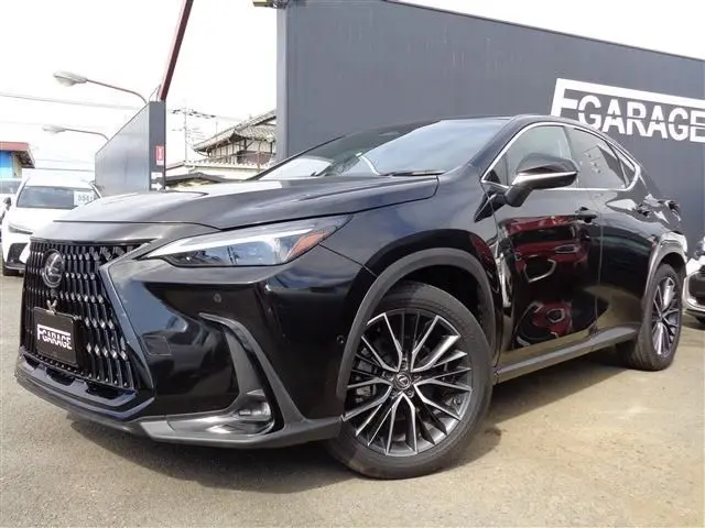 Lexus NX 350h fotoğraf 1