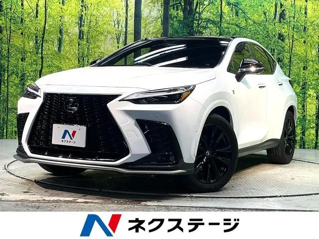 Lexus NX 350h fotoğraf 1