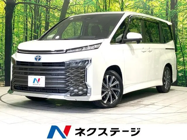 Toyota Voxy fotoğraf 1